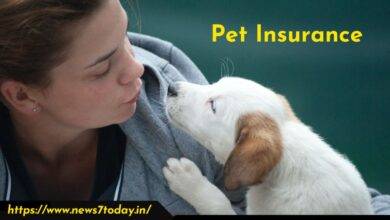 What Is Pet Insurance and How Does It Work