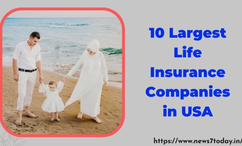 10 Largest Life Insurance Companies in USA