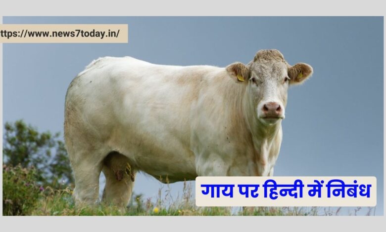 गाय पर हिन्दी में निबंध। Essay on Cow in Hindi